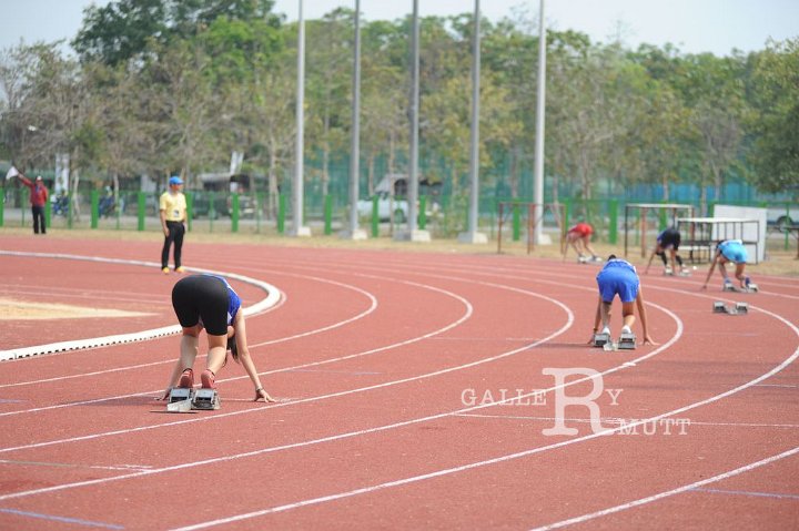 25560207-DSC_5006.jpg