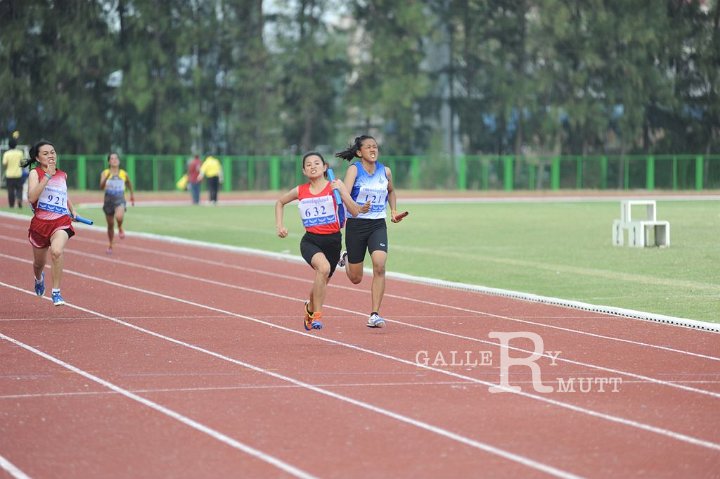 25560207-DSC_5108.jpg