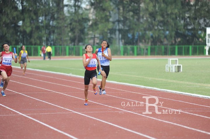 25560207-DSC_5109.jpg