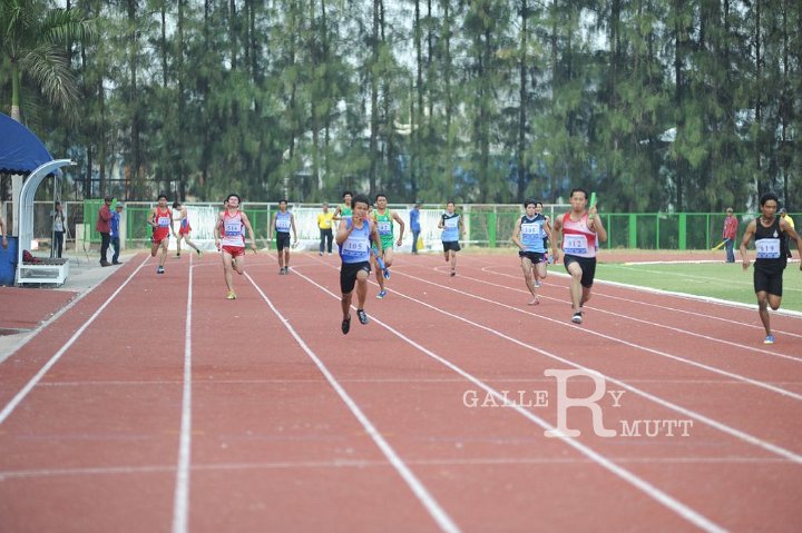 25560207-DSC_5130.jpg