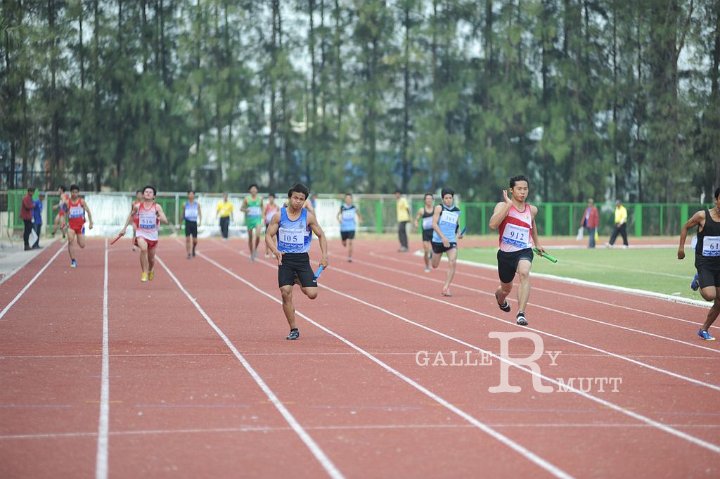 25560207-DSC_5132.jpg