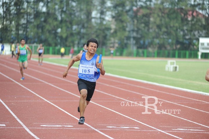25560207-DSC_5139.jpg