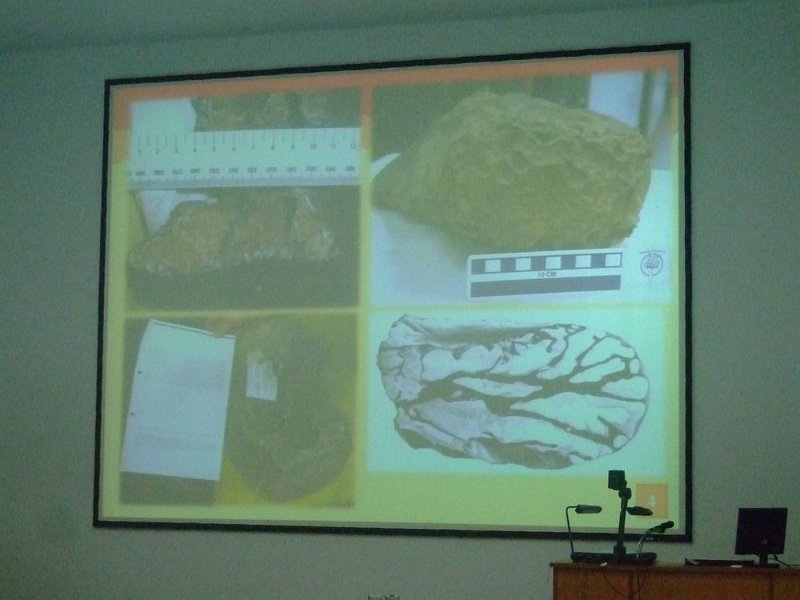 sci_108.jpg