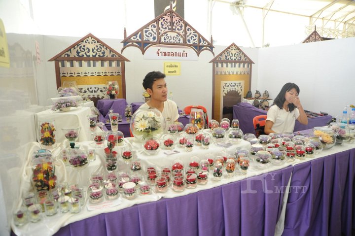 DSC_9185.JPG