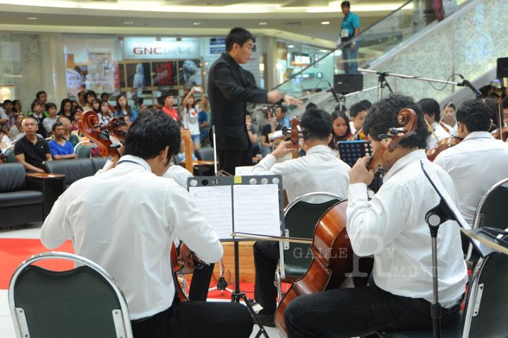 DSC_9195.JPG