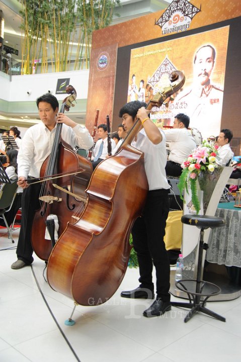 DSC_9202.JPG