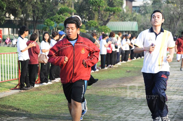 DSC_1186.JPG