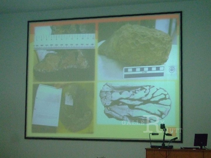 sci_108.jpg