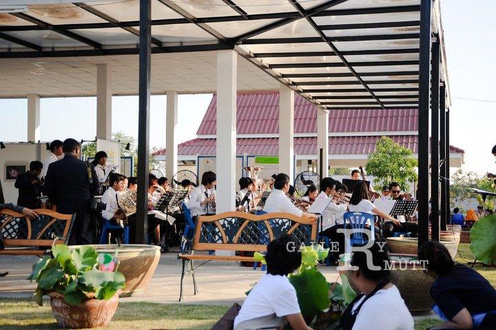 25560118-DSC_2211.jpg
