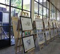 IMG_5145