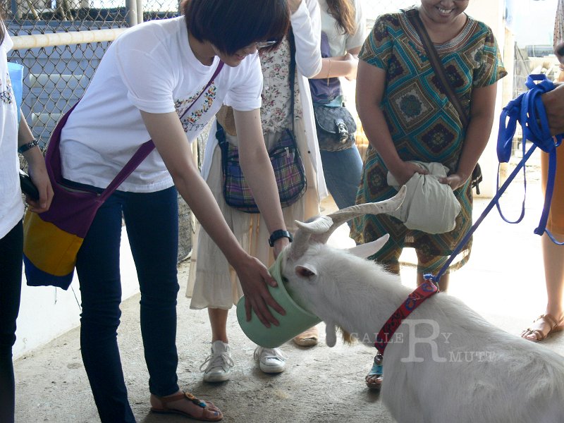 P1590569.jpg - นักศึกษาเกาหลีดูงาน