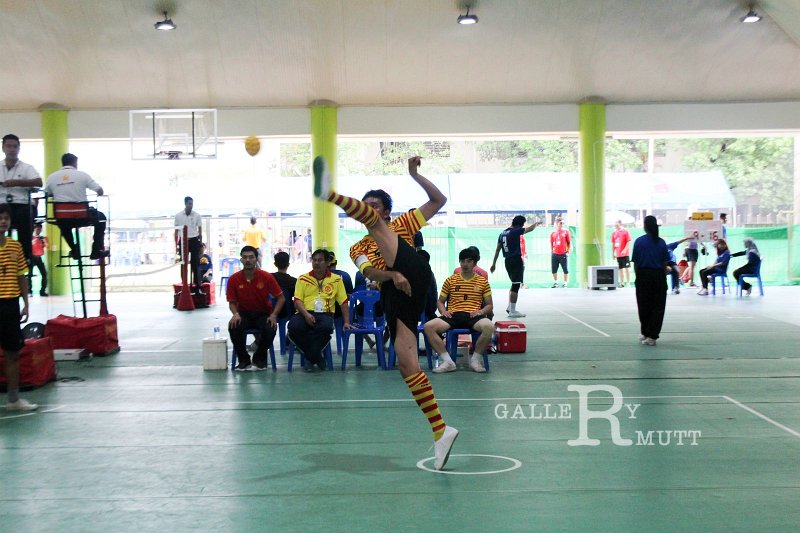 20160604-PR16-700.jpg