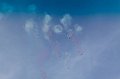 20160605open-597