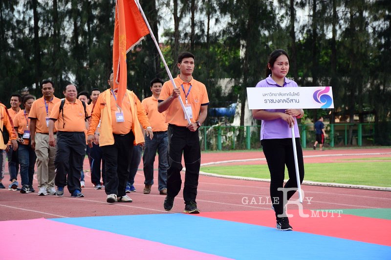 HEW_1463.JPG