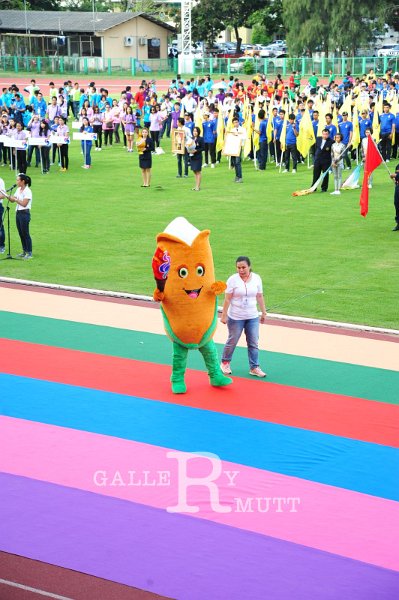 20160604-PR33-269.JPG