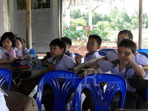 SDC12679.JPG