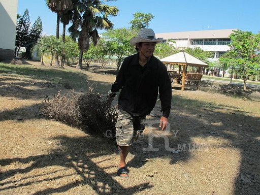 big-cleaning-arit-30-11-54-9_002.jpg