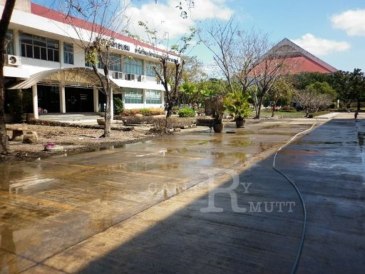 big-cleaningarit-50_002.jpg