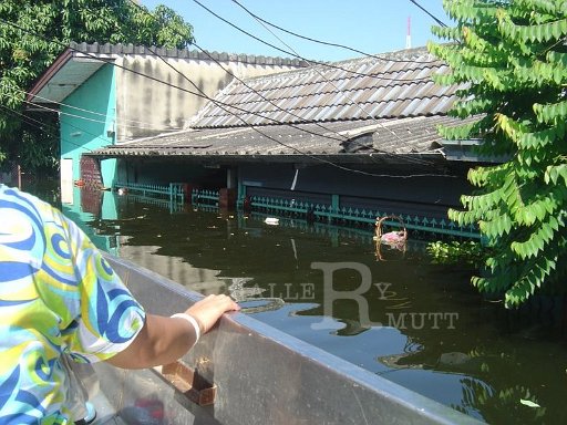 e0b980e0b884e0b8abe0b8b0e0b8a3e0b8b1e0b887e0b8aae0b8b4e0b8952-11-54witsarut-kongkasawat-7_002.jpg