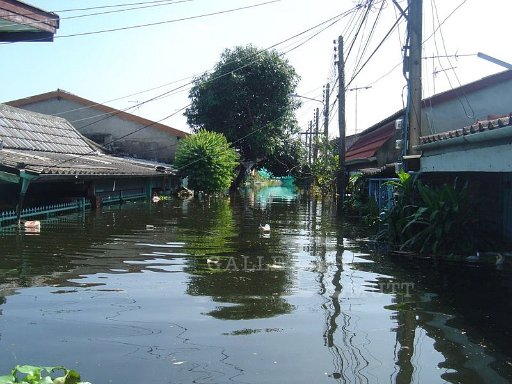 e0b980e0b884e0b8abe0b8b0e0b8a3e0b8b1e0b887e0b8aae0b8b4e0b8952-11-54witsarut-kongkasawat-9_002.jpg