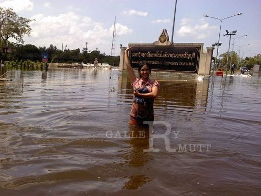 floodrmutt-5.jpg