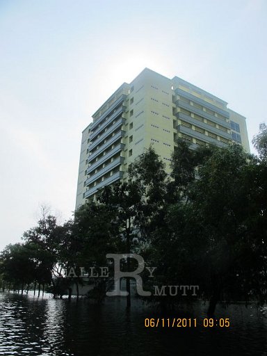 IMG_7864.jpg