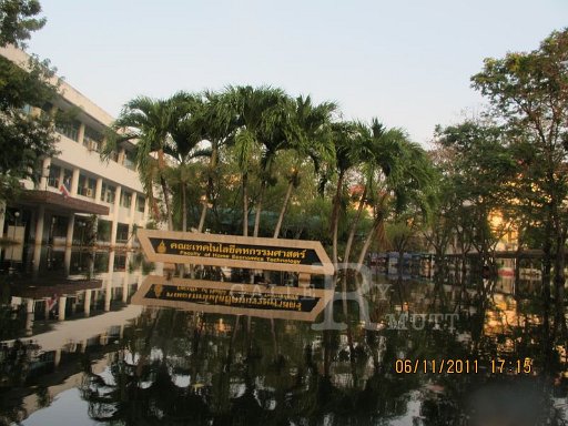 IMG_7938.jpg