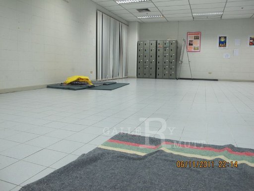 IMG_7950.jpg