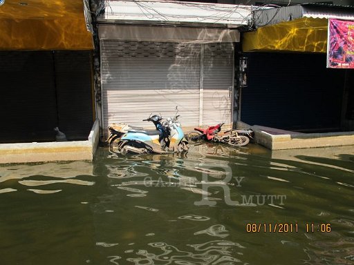 IMG_8170.jpg