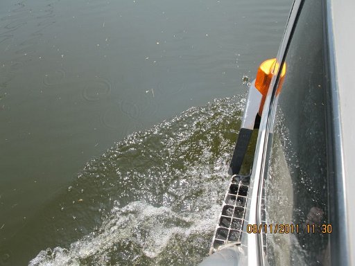 IMG_8195.jpg