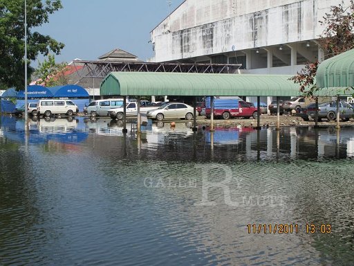 IMG_8398.jpg