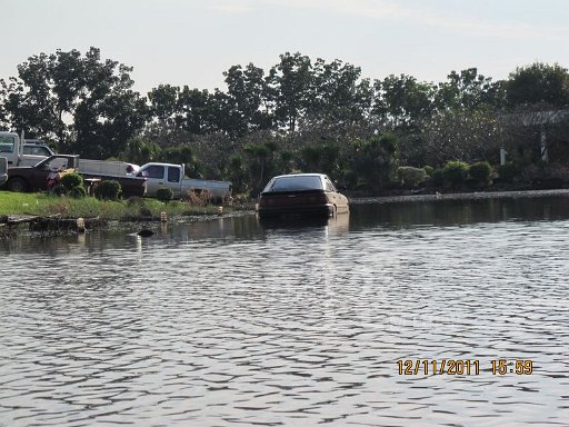 IMG_8429.jpg