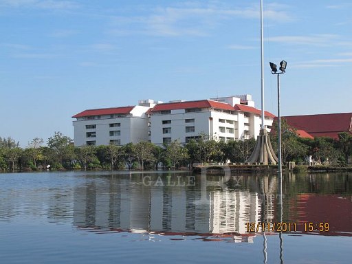 IMG_8430.jpg