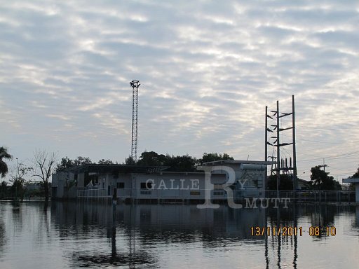 IMG_8489.jpg