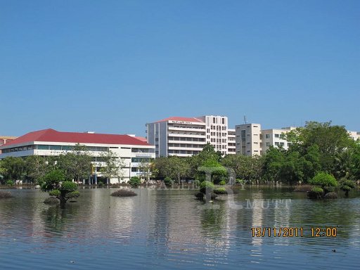 IMG_8527.jpg