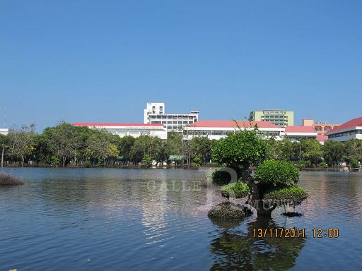 IMG_8528.jpg