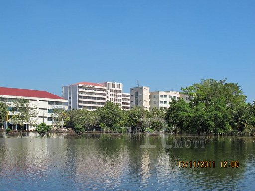 IMG_8530.jpg