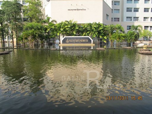 IMG_8549.jpg