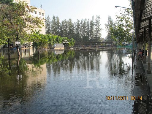IMG_8669.jpg