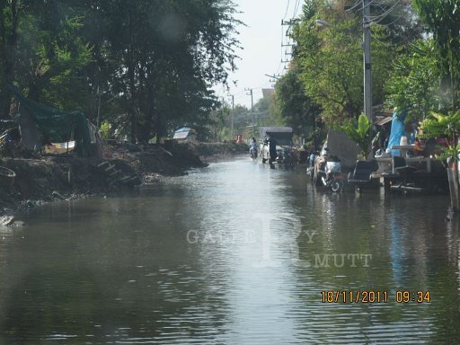 IMG_8773.jpg