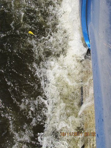 IMG_8794.jpg
