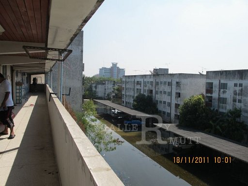 IMG_8801.jpg