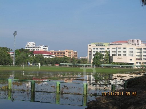 IMG_8856.jpg