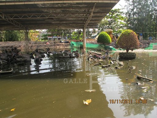 IMG_8863.jpg
