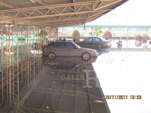 IMG_8873.jpg