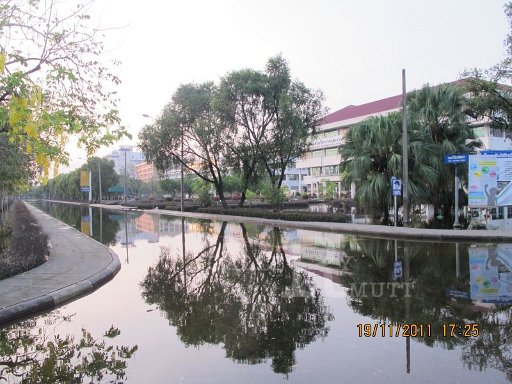 IMG_8884.jpg