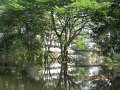 IMG_7857