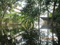 IMG_7858