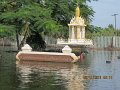 IMG_7866
