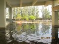 IMG_7875